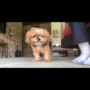 Meet your Posher, Zach